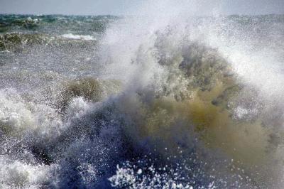 Прикрепленное изображение: 111IMGP4348.jpg